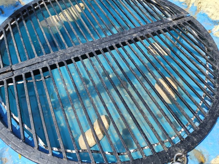 A circular metal grate covers an opening in a blue container, through which several light-colored spheres are visible in the water below.