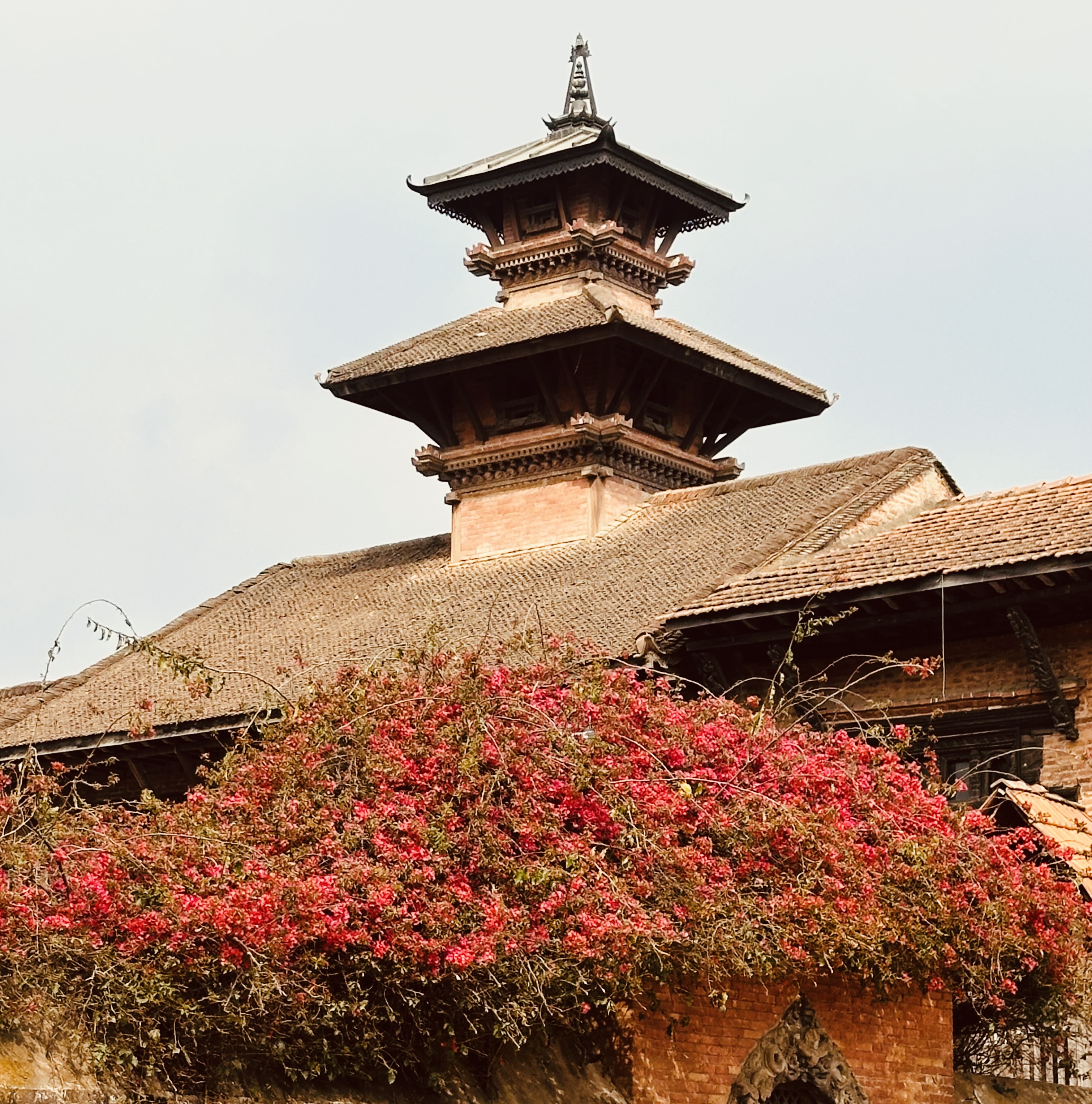 Pagoda-style temple with carved wood and tiered roof, draped in bougainvillea, in Bhaktapur Durbar Square.