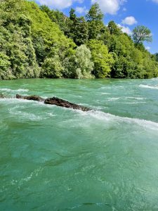 The Aare River in Switzerland, characterized by its turquoise water and lush green surroundings. A log is seen floating in the river, with the current creating a small wave around it. The riverbanks are densely covered with trees, and the sky above is partly cloudy. 
