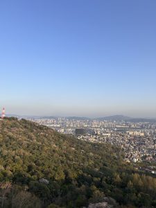 A panoramic view of a city skyline surrounded by green hills under a clear blue sky. In the foreground, lush vegetation with some flowering trees is visible, while the background showcases multiple high-rise buildings and distant mountains. 