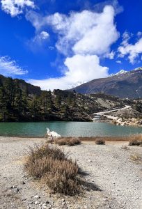 

A serene mountain landscape featuring a clear turquoise dumba lake surrounded by rocky terrain and sparse vegetation. Pine trees line the edge of the lake with a backdrop of rugged hills and snow-capped peaks. The sky is bright blue with fluffy white clouds.