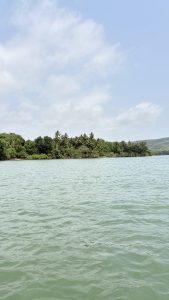 View of a calm greenish waterbody with gentle ripples, bordered by lush green tropical trees and palm trees, under a partly cloudy blue sky with distant hills in the background.