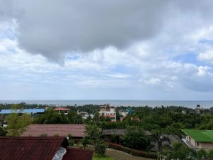 View of a coastal town with red-roofed houses, lush green trees, and the ocean in the background under a cloudy sky.