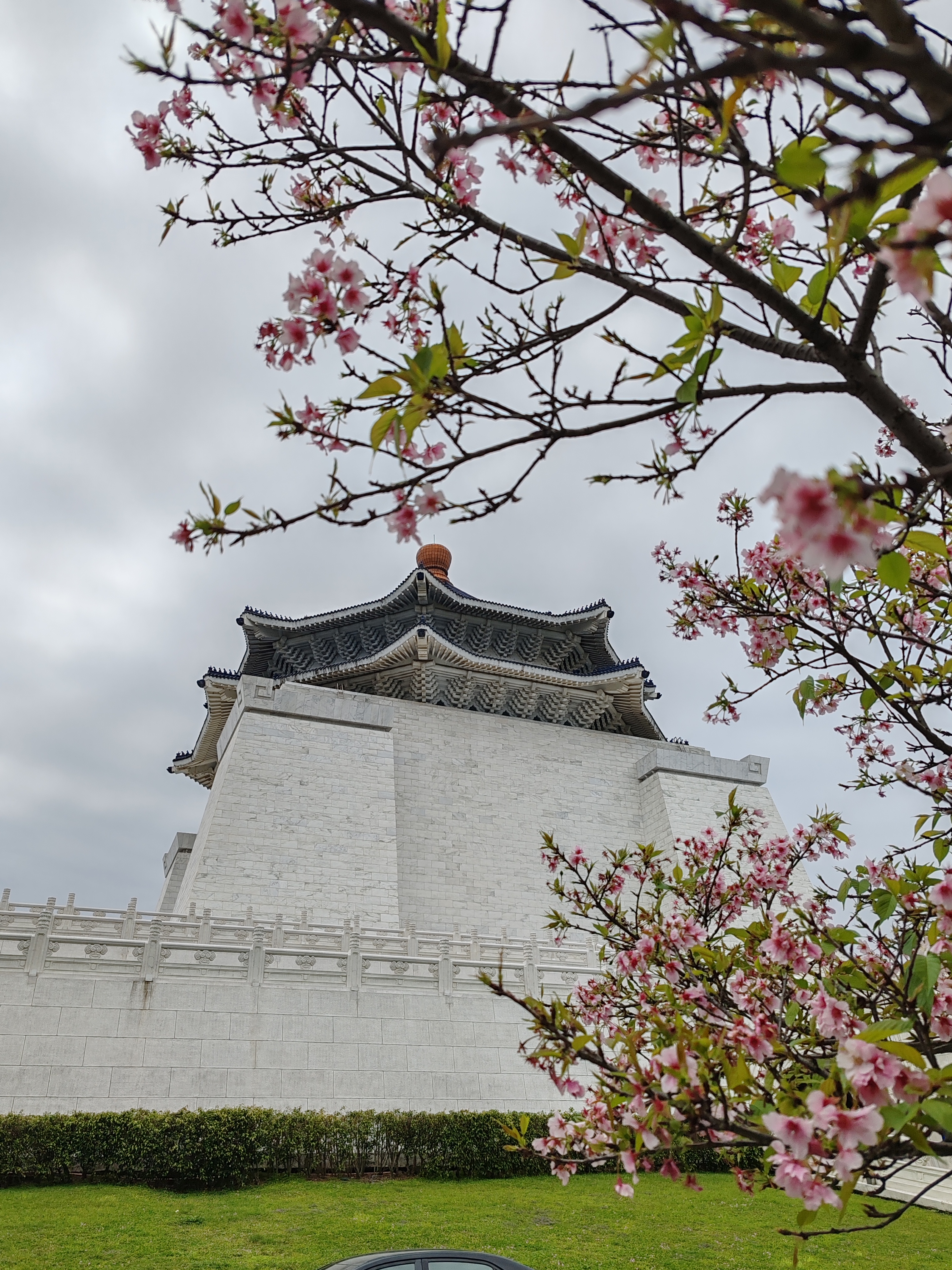 A traditional Asian-style building with ornate roofing is partially obscured by blooming cherry blossom branches in the foreground