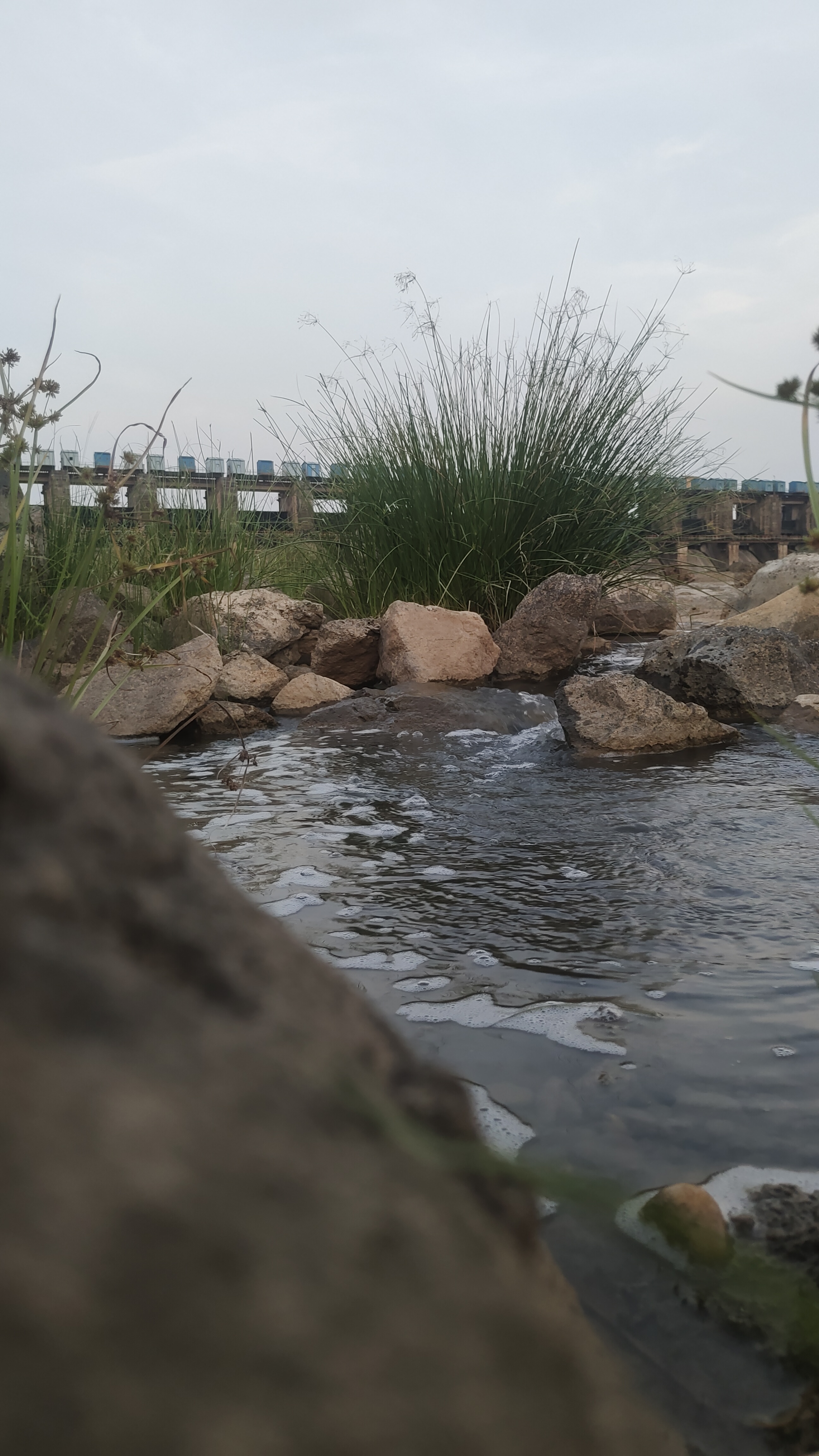 A peaceful riverside scene with rocks and flowing water in the foreground, tall grass in the middle, and a dam with blue gates in the background under an overcast sky.