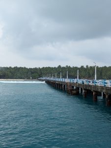 A long pier extends into calm blue waters, lined with white posts and a blue railing. In the background, lush green coconut trees rise against a backdrop of overcast skies. Waves gently break on the shore nearby, creating a tranquil coastal scene at Lakshadweep. 