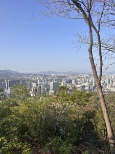 A panoramic view of a cityscape under a clear blue sky, with mountains in the background.