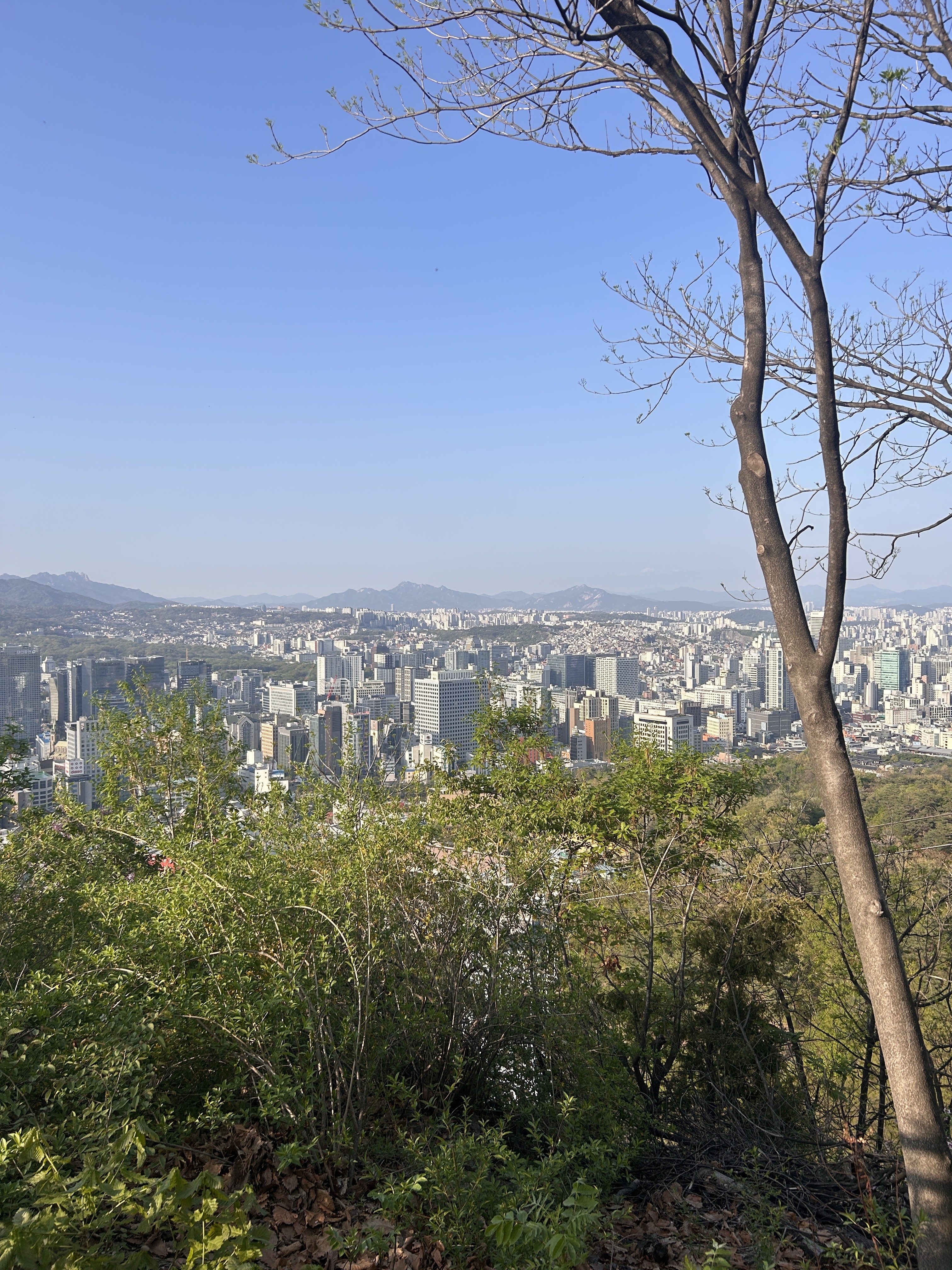 A panoramic view of a cityscape under a clear blue sky, with mountains in the background.