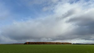 Mostly sky with fluffy clouds.  On the horizon a stand of trees in autumn colors. In the foreground a very green field with a large irrigation system in place.