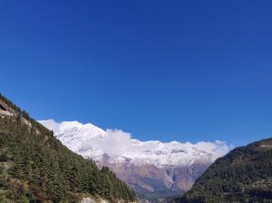 A panoramic view of snow-capped mountains under a clear blue sky. Lush green pine trees line the lower slopes, and patches of white clouds hover around the peaks, accentuating the majestic landscape