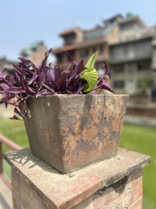 A weathered, rectangular planter filled with purple and green leaves sitting on a brick pillar.