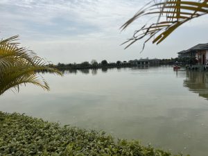 A serene view of a lake surrounded by greenery and buildings, with a calm water surface reflecting the cloudy sky above. Palm fronds and bushes are visible in the foreground.
