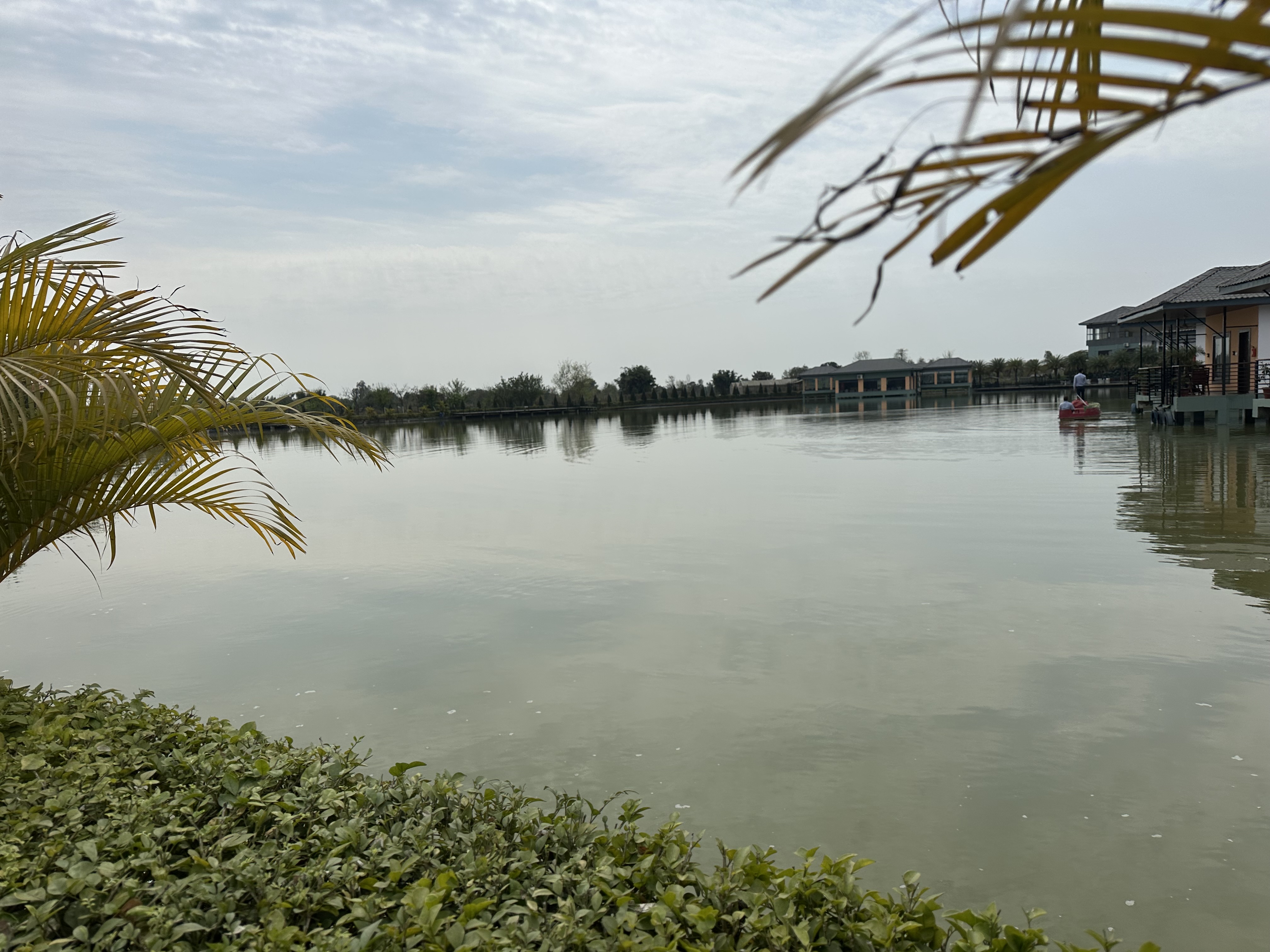 A serene view of a lake surrounded by greenery and buildings, with a calm water surface reflecting the cloudy sky above. Palm fronds and bushes are visible in the foreground.