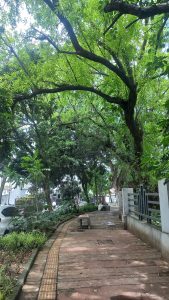 A sidewalk in Bandung, Indonesia that covered by big trees on the side.