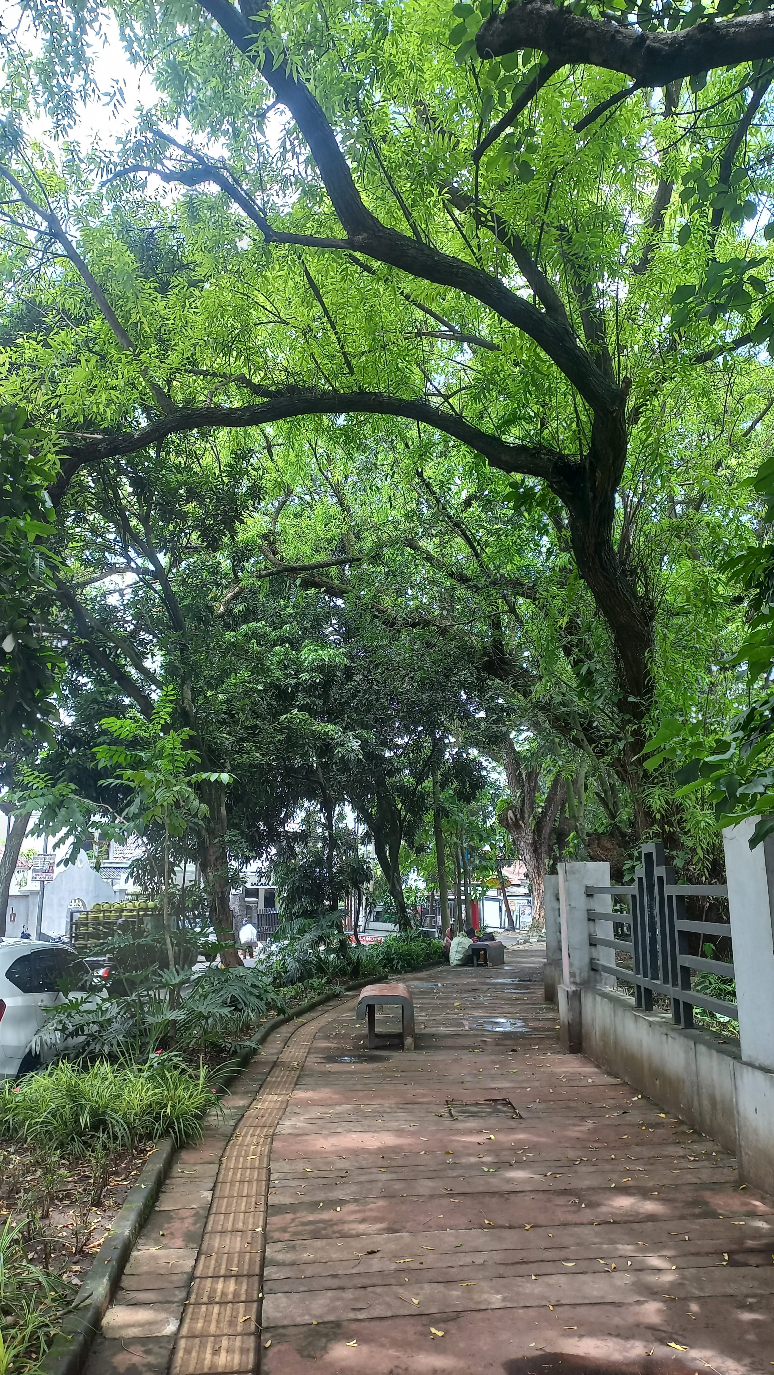 A sidewalk in Bandung, Indonesia that covered by big trees on the side.