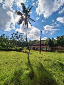 The image shows an old Malenadu house with a tiled roof, surrounded by lush greenery and a coconut tree in the foreground, casting a long shadow across the grassy field. The scene is set against a backdrop of a partly cloudy sky, with the sun shining brightly behind the coconut tree.
