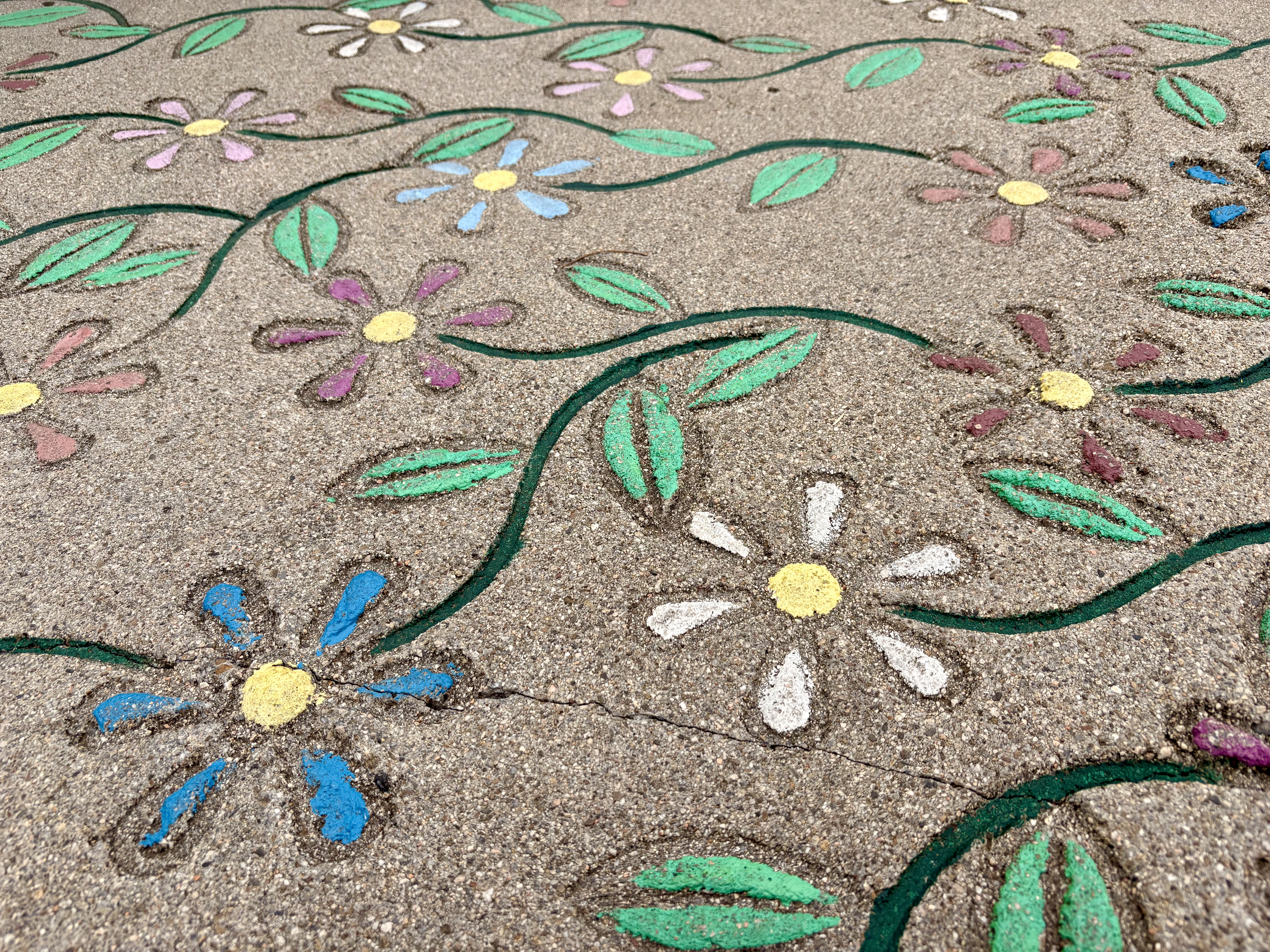 Painted colorful flower designs on a concrete surface. Pink, blue, white, and yellow flowers with green leaves connect via curving vines. The flowers have simple daisy-like designs with round centers and surrounding petals. The chalk creates a vibrant garden pattern against the gray cement background.