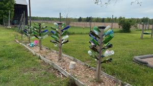 A row of bottle trees, which are wooden posts with glass bottles on spikes coming off of it, so it looks a little like a tree.