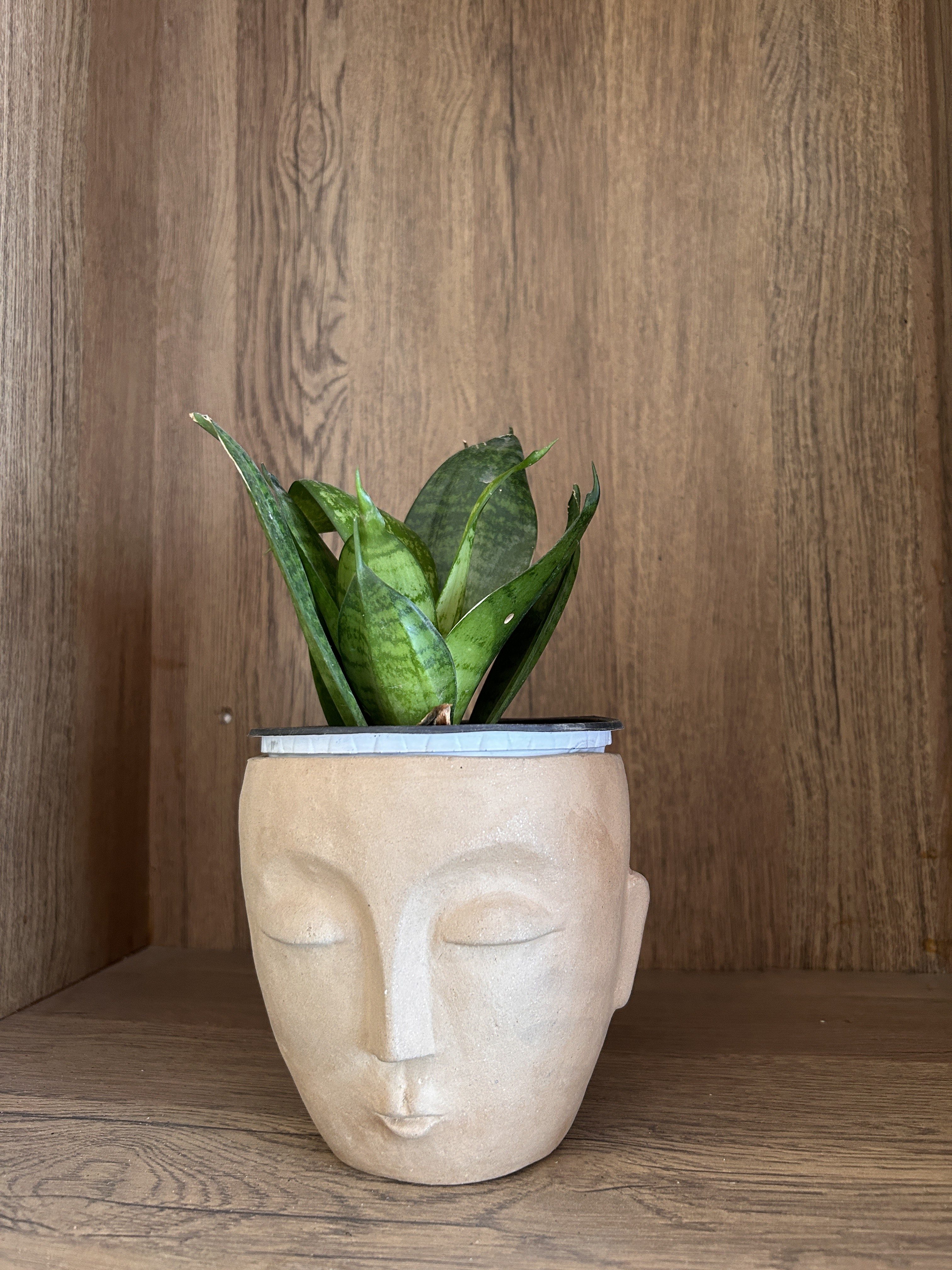 A decorative planter shaped like a human face, made of light-colored clay, with closed eyes and a serene expression.