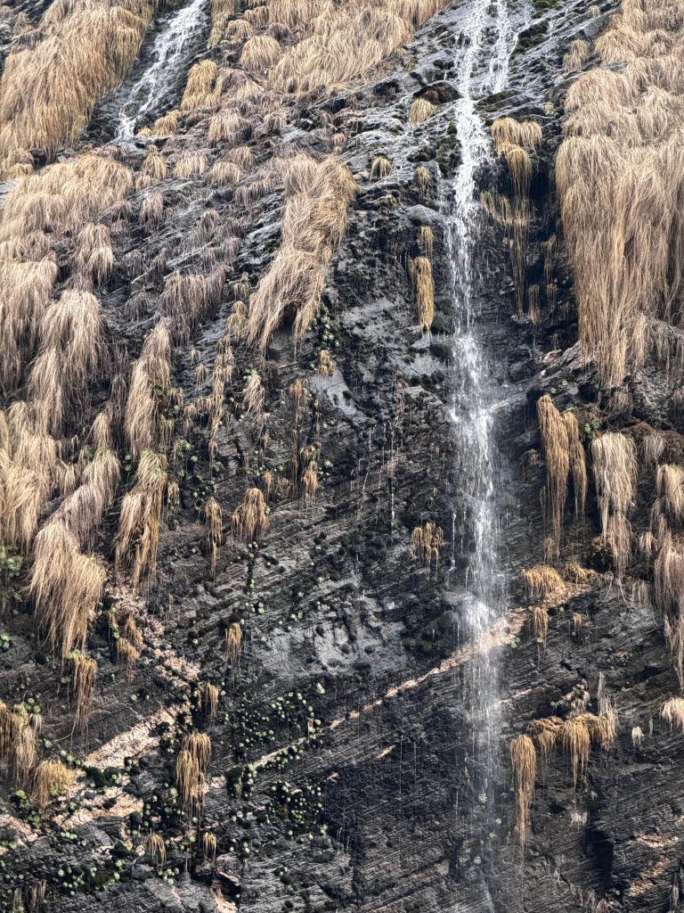 A steep rocky surface covered with patches of dry, golden grass and some green plants. Water is trickling down the rock, creating small streams that flow over the uneven terrain.