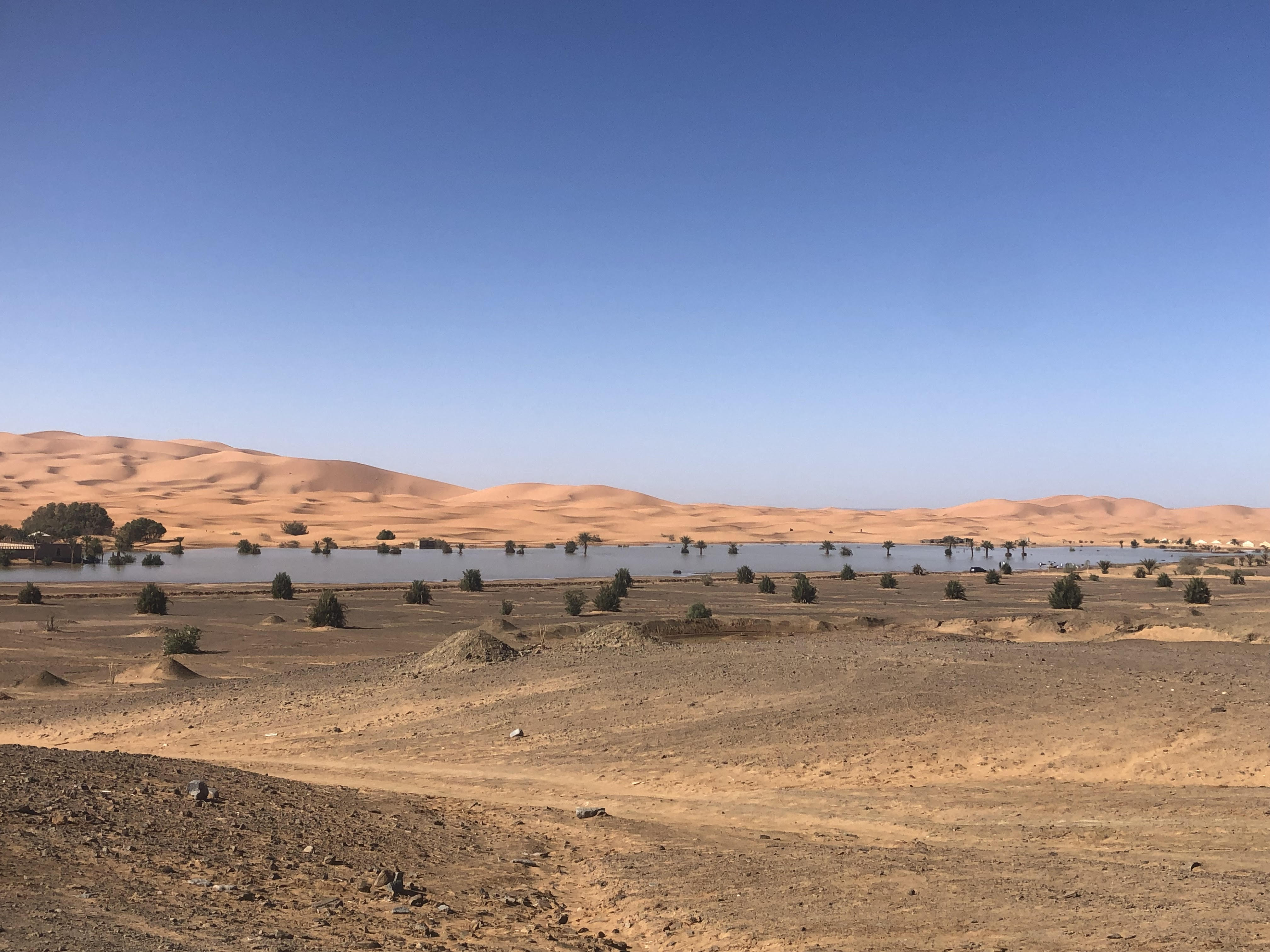 A serene Morocco desert landscape featuring rolling sand dunes in the background, contrasted by a calm body of water in the foreground.