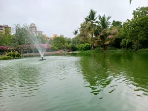 A serene park scene featuring a pond with a fountain at its center. 