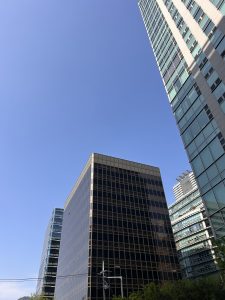 A photograph depicting a cluster of modern high-rise buildings with glass facades against a clear blue sky. The buildings vary in design and colour, with one prominently featuring a reflective dark surface. The view is from a low angle, highlighting the height of the structures, and a tree is visible in the foreground along with utility lines.