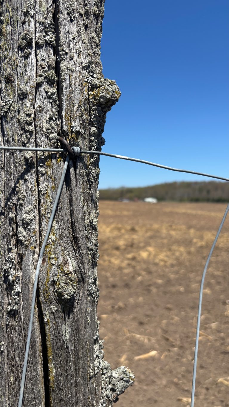 An old fence post on the left, weathered and covered in lichens.  On the right a farm in the distance, but it’s blurry.
