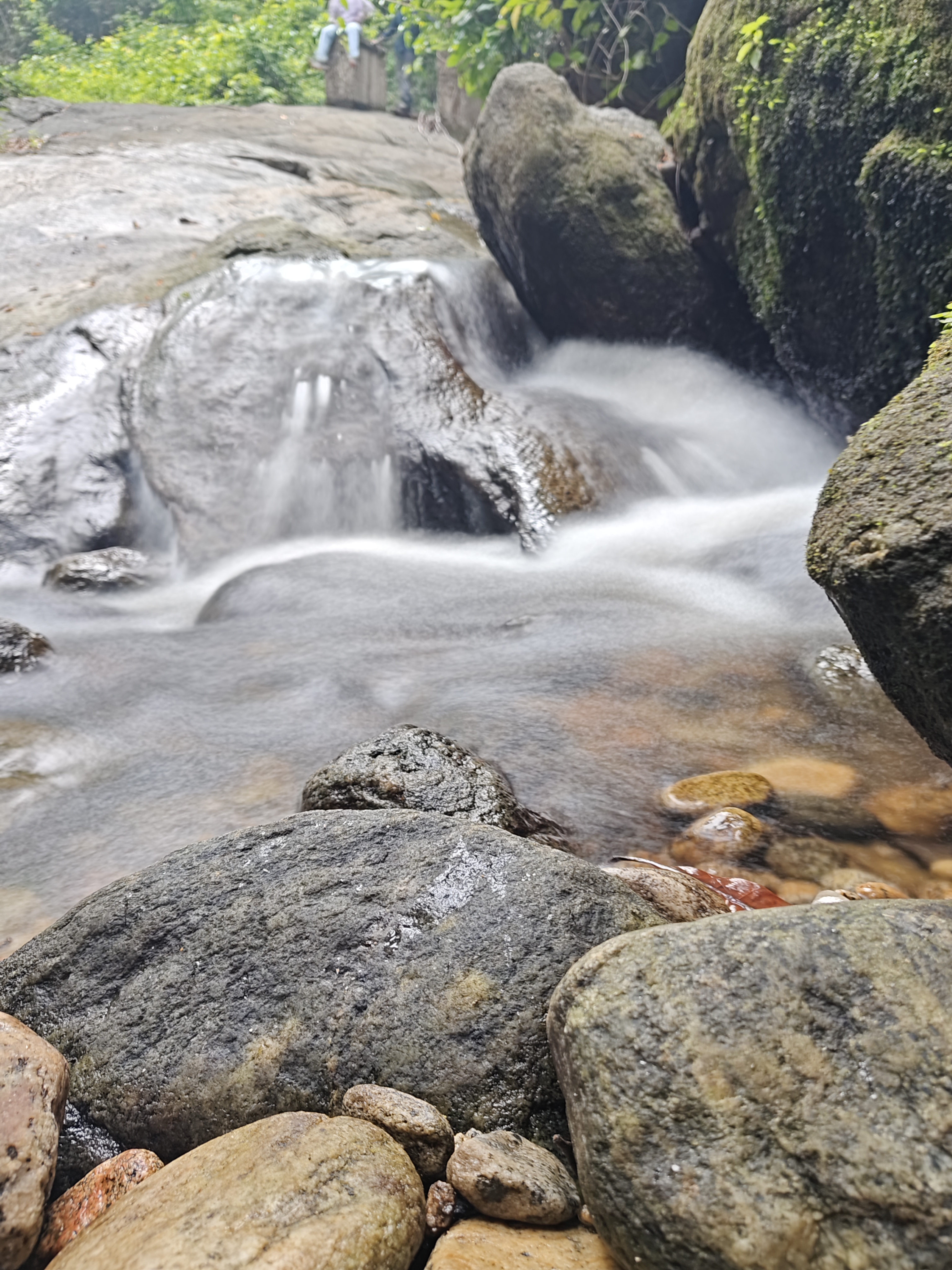 A rocky stream flows gently over various-sized stones, with water cascading in soft, blurred motion.