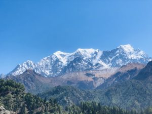 A stunning panoramic view of a snow-capped mountain range under a clear blue sky, with lush green forests covering the lower slopes. 