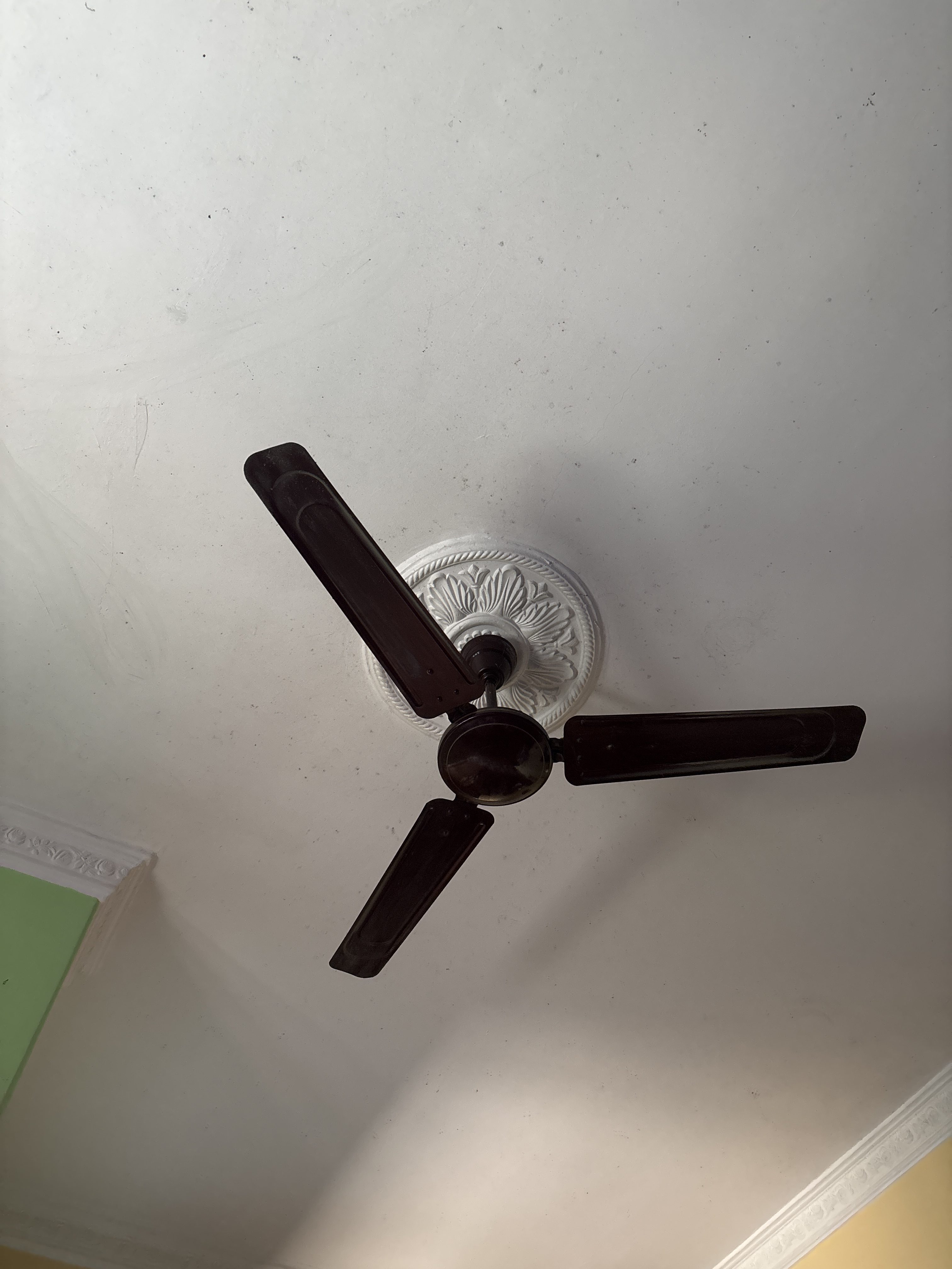 A ceiling fan with three dark blades is mounted on a decorative white ceiling rose.