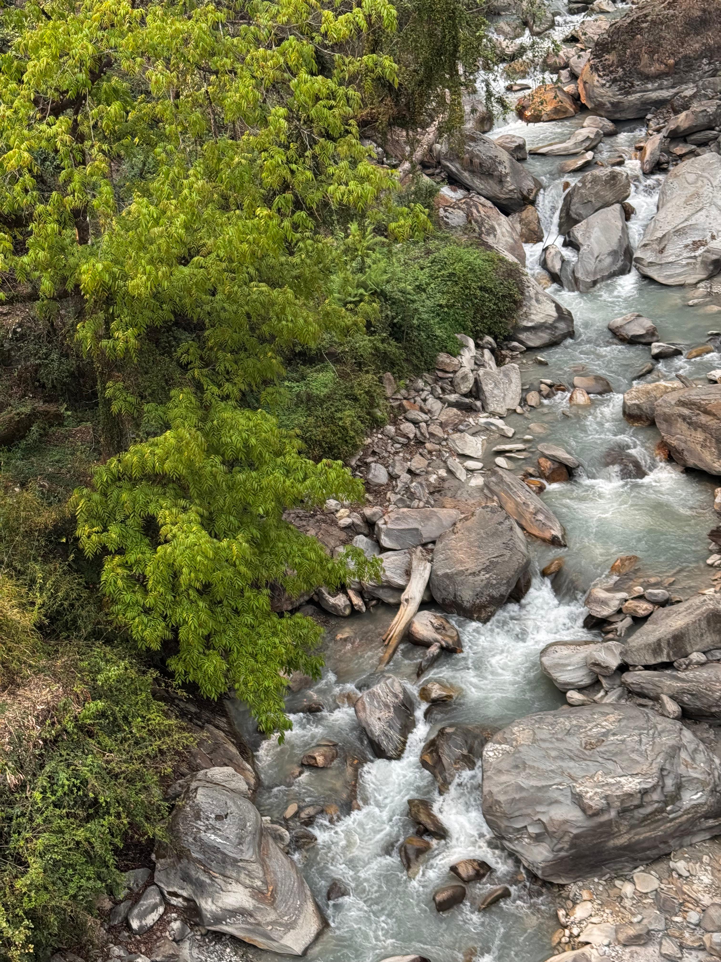 A serene landscape featuring a flowing river winding through a rocky terrain. Lush green trees, including a prominent leafy tree on the left, align the banks of the river. The water is a light blue-green, cascading over smooth stones and creating gentle ripples as it moves.