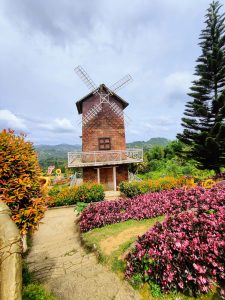 A charming windmill depicting Amsterdam vibes surrounded by colorful flower gardens in the scenic hills of Sirao Garden, Cebu City, Philippines.

