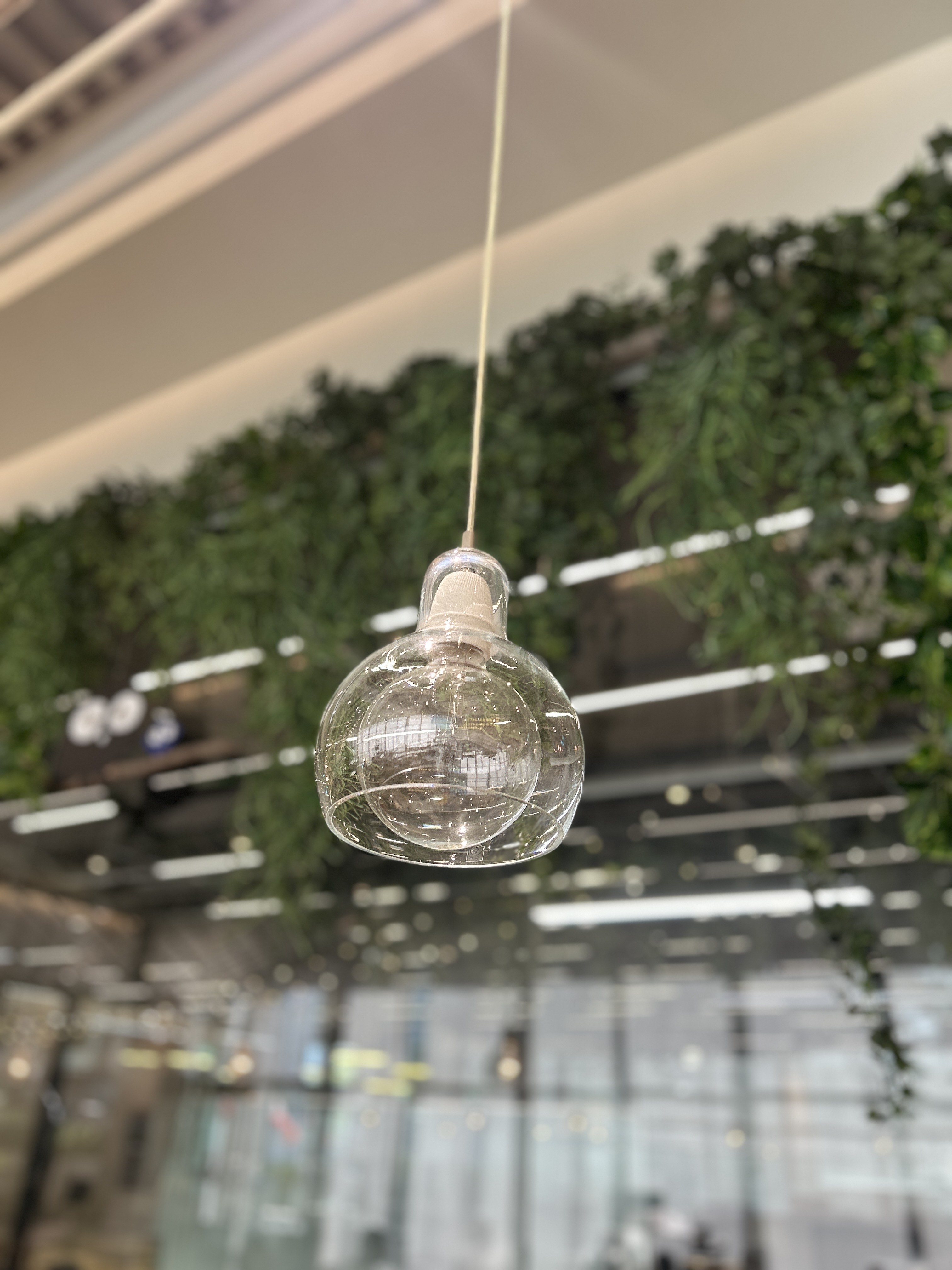 A clear, glass pendant light hangs from a ceiling with a visible electrical cord, surrounded by greenery in the background.