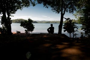 The image shows a person sitting in silhouette, facing a body of water, possibly a lake or a wide river, under a partially clear sky. The scene is framed by trees, some of which are also silhouetted, creating a natural border around the view. 