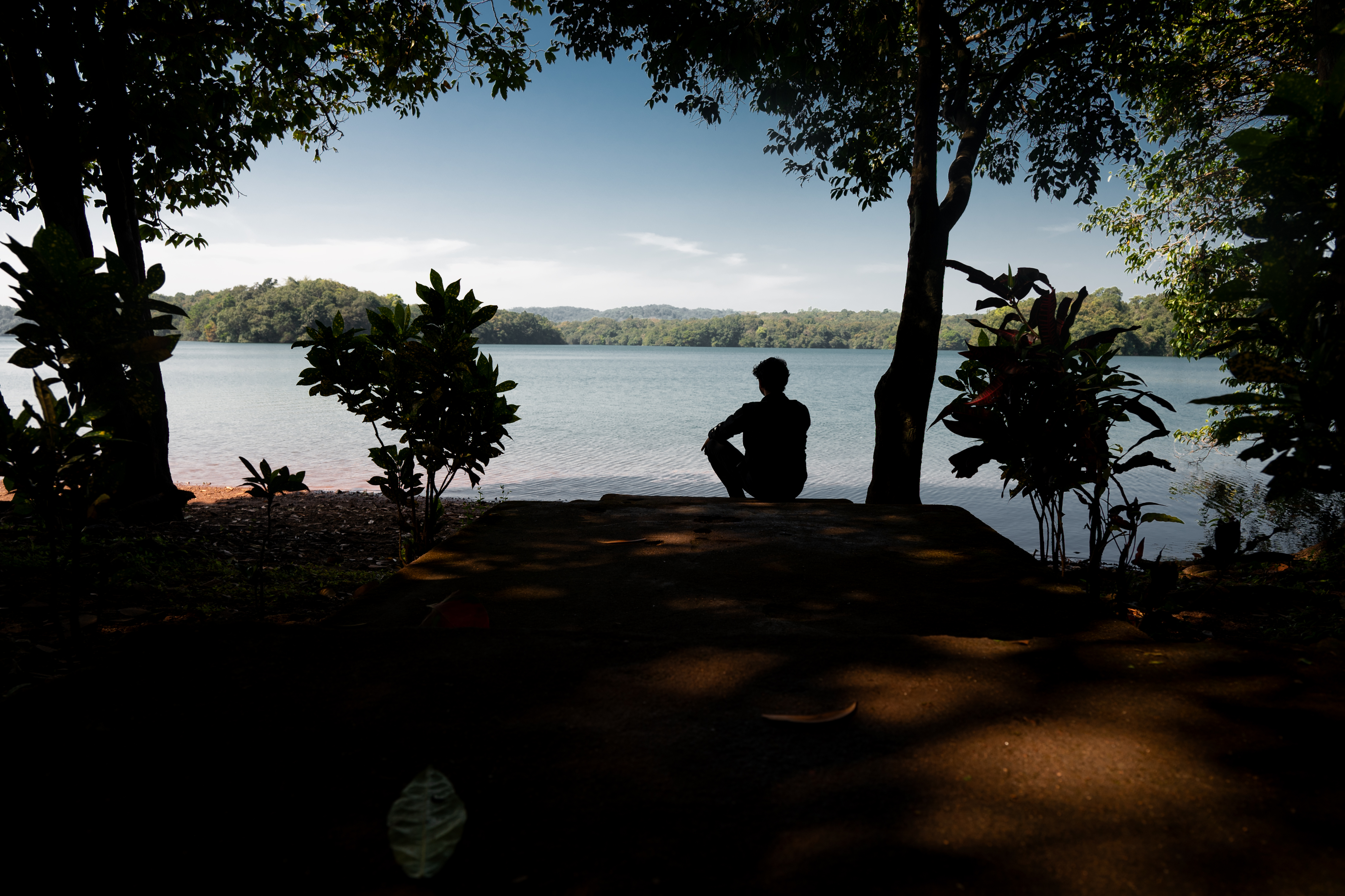 The image shows a person sitting in silhouette, facing a body of water, possibly a lake or a wide river, under a partially clear sky. The scene is framed by trees, some of which are also silhouetted, creating a natural border around the view.