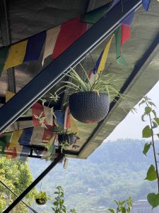 The image features a hanging plant basket in a shaded area, with green plants and a backdrop of colorful prayer flags. 