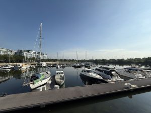 Sailboats and a long dock in a bay. 