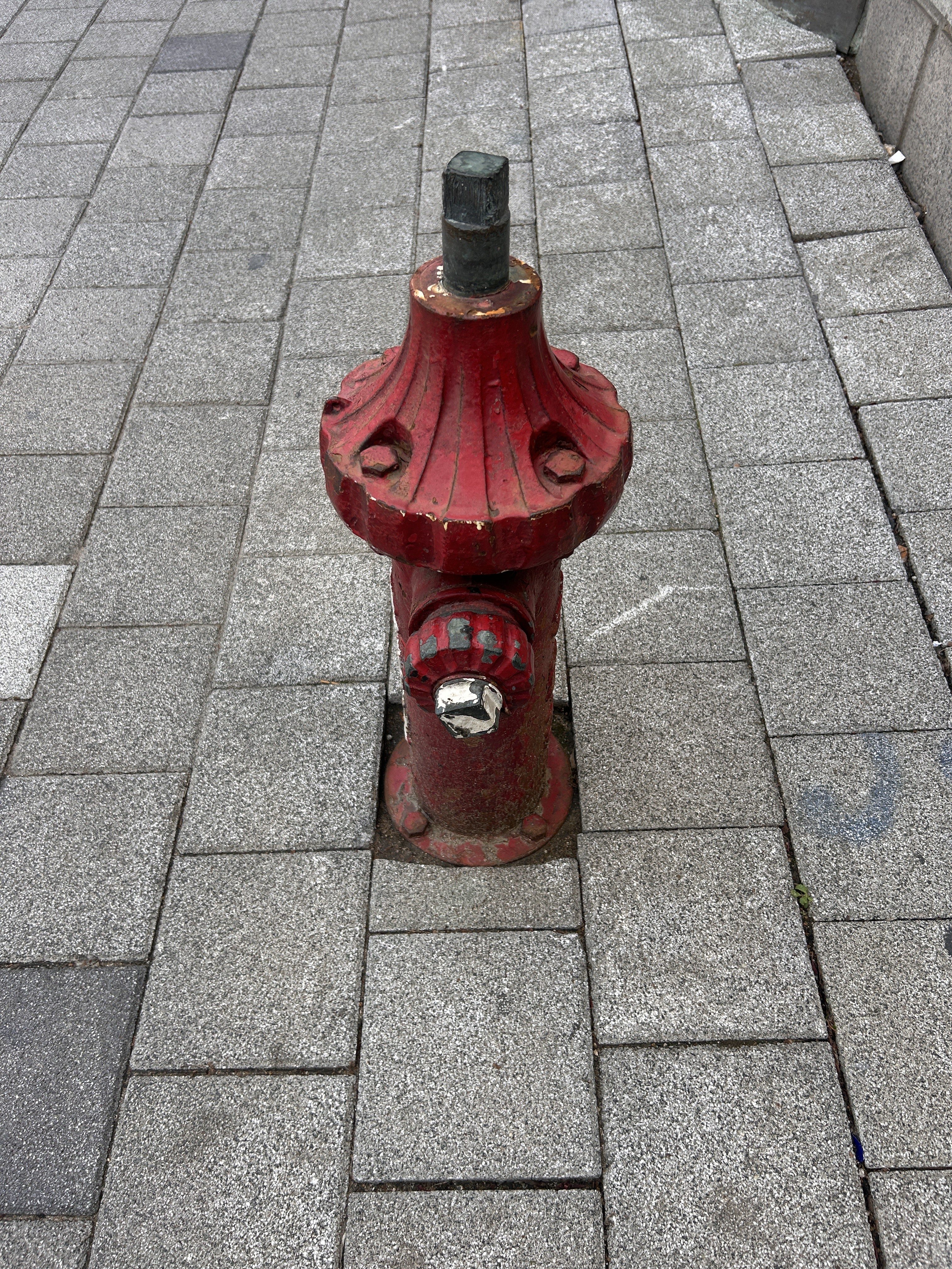 A red fire hydrant is positioned on a paved sidewalk, surrounded by gray stone tiles