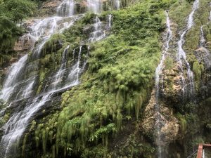 A lush, green landscape featuring a cascading waterfall. The water flows down a rocky surface surrounded by dense vegetation, including shrubs and grasses.