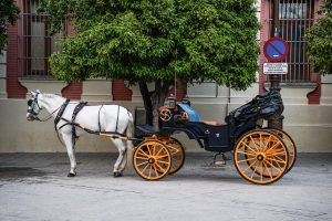 A white horse is harnessed to a traditional black carriage with orange wheels, parked on a street. The carriage features a leather seat and an ornate steering wheel. In the background, there is a no-parking sign.
