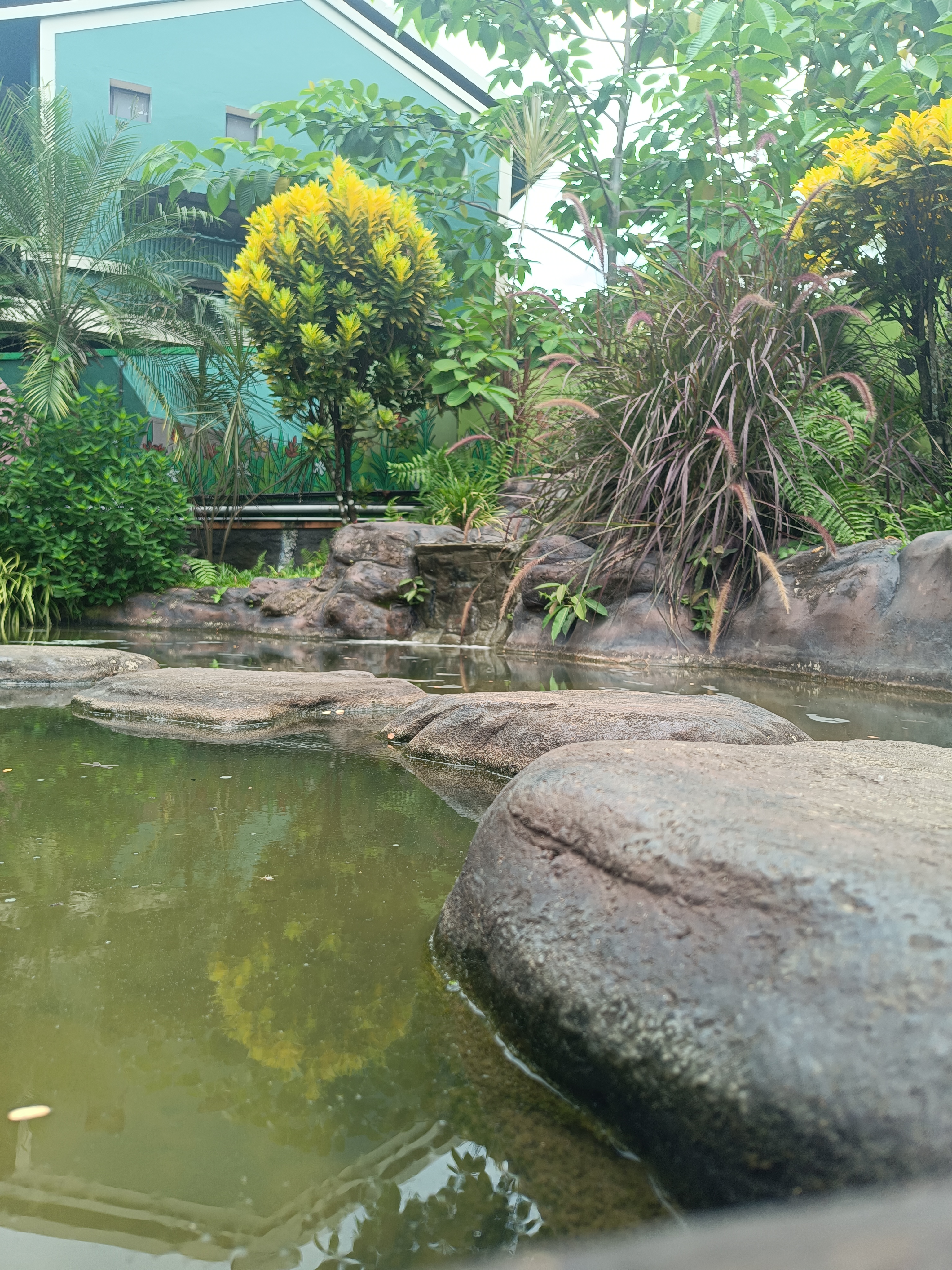 Small steps created using rocks over a small pond. Small bushes at the end
