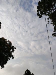 A view of a cloudy sky with soft, white clouds spread across a blue background. 