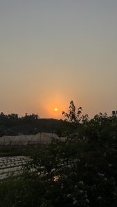 A serene sunset scene over a rural landscape, featuring a glowing sun setting behind a distant hill. 
