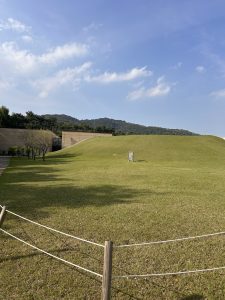 A spacious green lawn stretches across the foreground, with a gently sloping hill in the background.