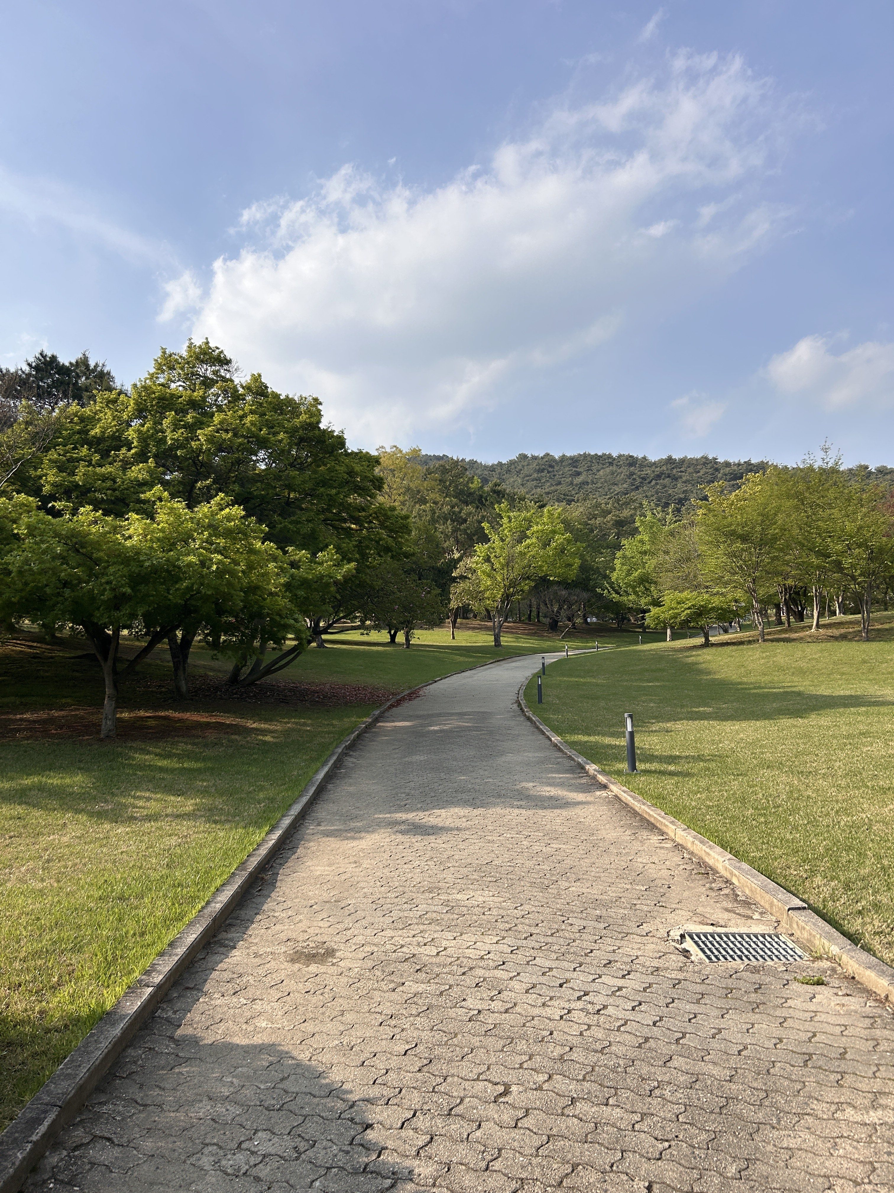 A winding pathway made of stone pavers runs through a lush green park, flanked by various trees and grassy areas.