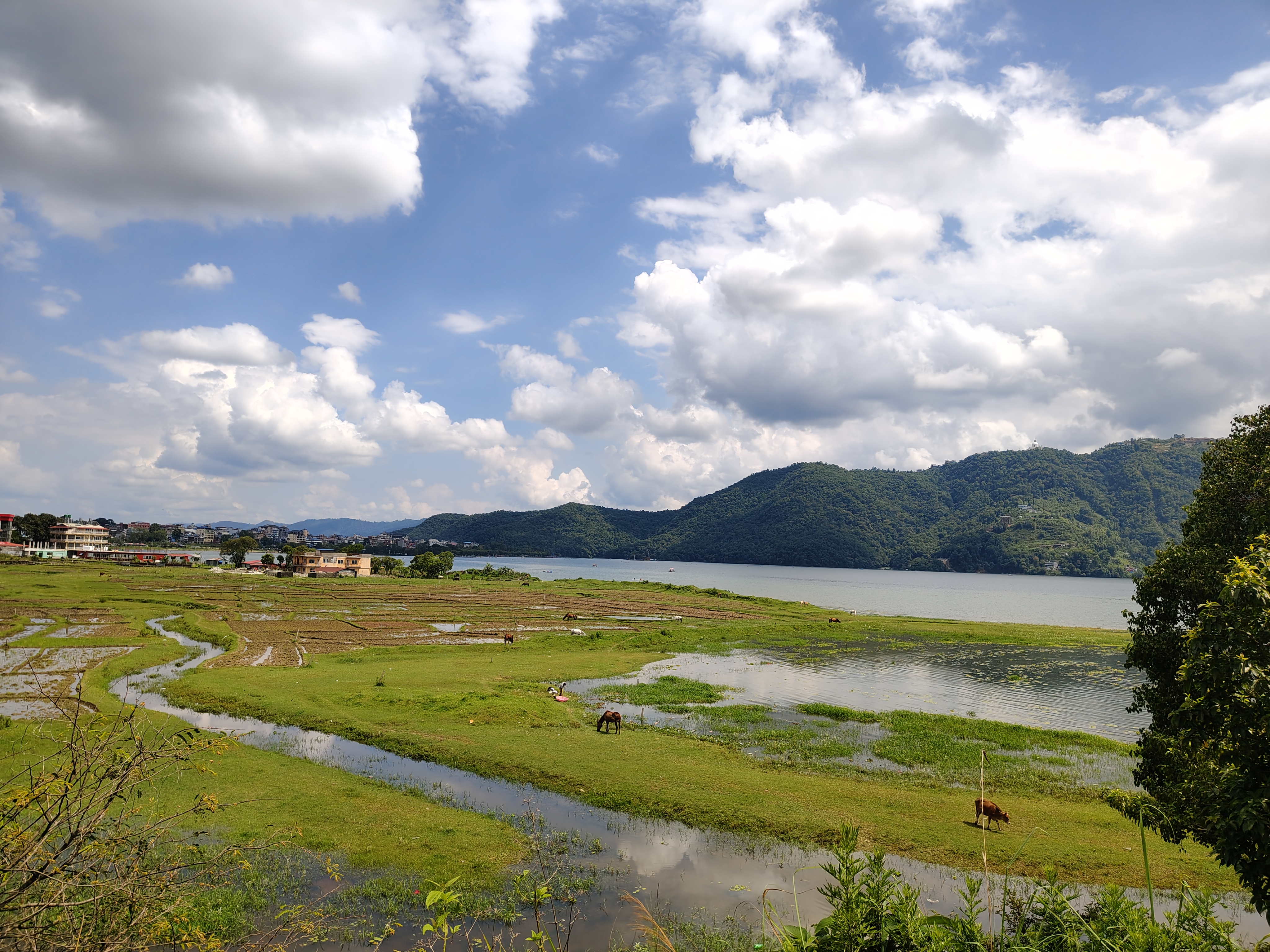 A picturesque landscape featuring a serene lake bordered by lush greenery and rolling hills.