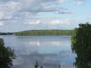 A serene landscape featuring a calm lake surrounded by lush green trees and dense forest. 
