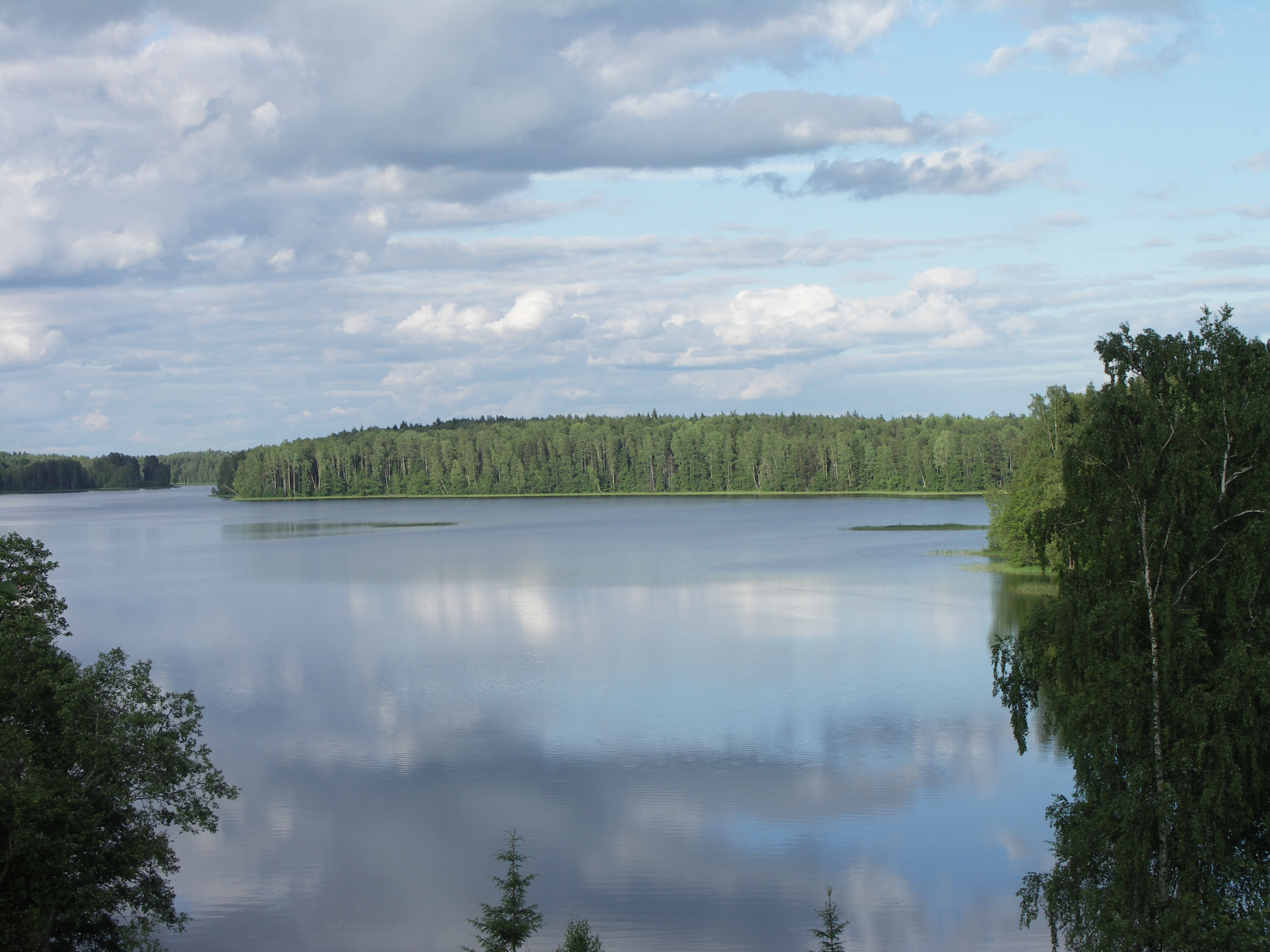 A serene landscape featuring a calm lake surrounded by lush green trees and dense forest.