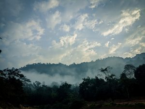 A serene landscape depicting a misty forest setting at dawn or dusk. The background features a range of hills partially obscured by a low-lying fog, with lush greenery in the foreground and a cloudy sky overhead, creating a tranquil atmosphere.
